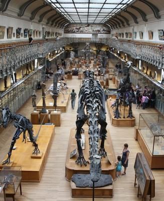 Une journée au Jardin des Plantes et au Muséum d'Histoire Naturelle