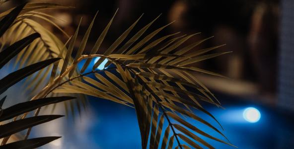 Hotel Monte Cristo Paris