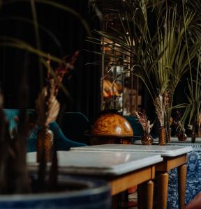 Hotel Monte Cristo Paris