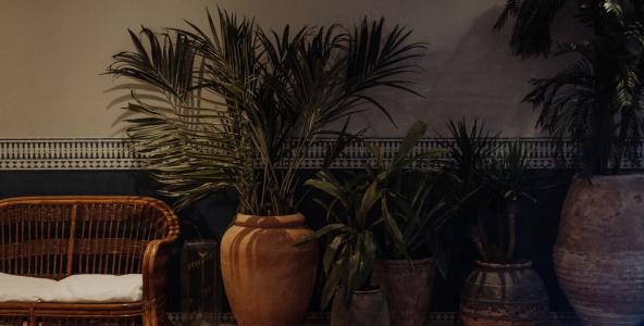 Hotel Monte Cristo Paris