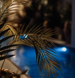 Hotel Monte Cristo Paris